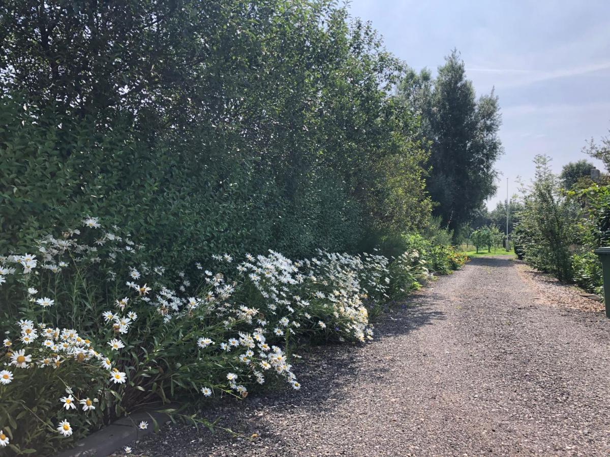 Butenom Oudwoude Kültér fotó